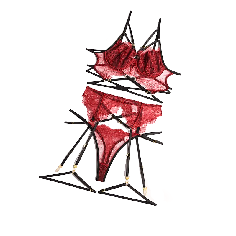 Nuovo pizzo Sexy Lingerie tras - Lace Bralette Set recensione e prezzo